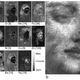 Different scans of the hidden portrait that researchers used to uncover the brushwork sequence (Image: Scientific Reports)